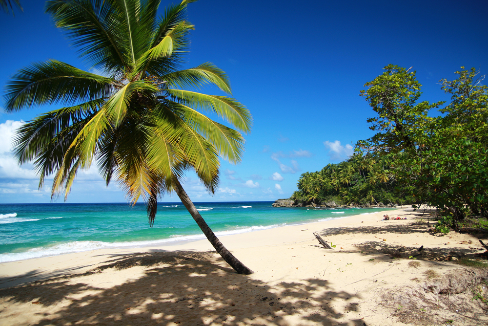 Foto Caribe, Plamera, Playa, Vacaciones en el Caribe 2015