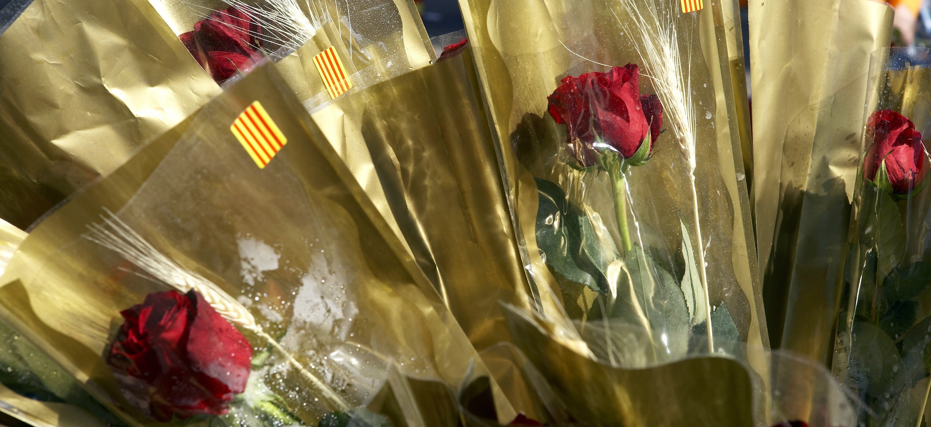 7174631 - detail of a bouquet of roses, the day of the book, sant jordi, barcelona, spain