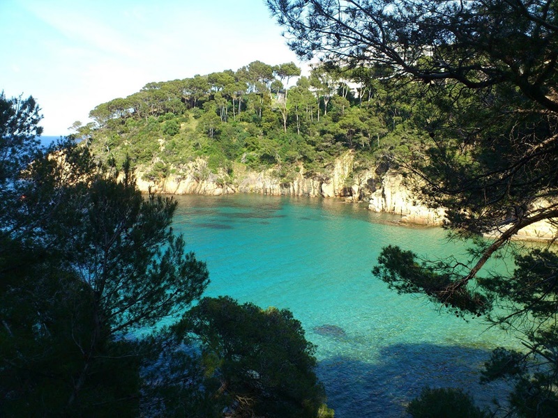  Vista de la Platja Fonda entre árboles 