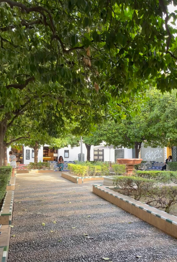 Una plaza en el Barrio de Santa cruz.