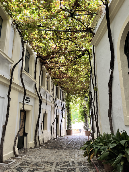 Calle Ciegos, la más bonita del mundo.