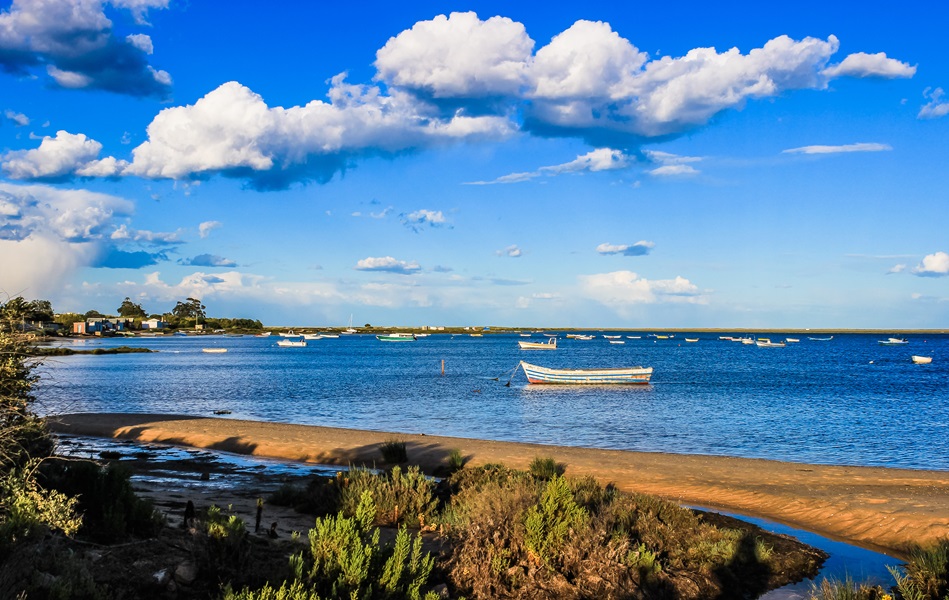 Una foto del Parque Natural de la Ría Formosa 